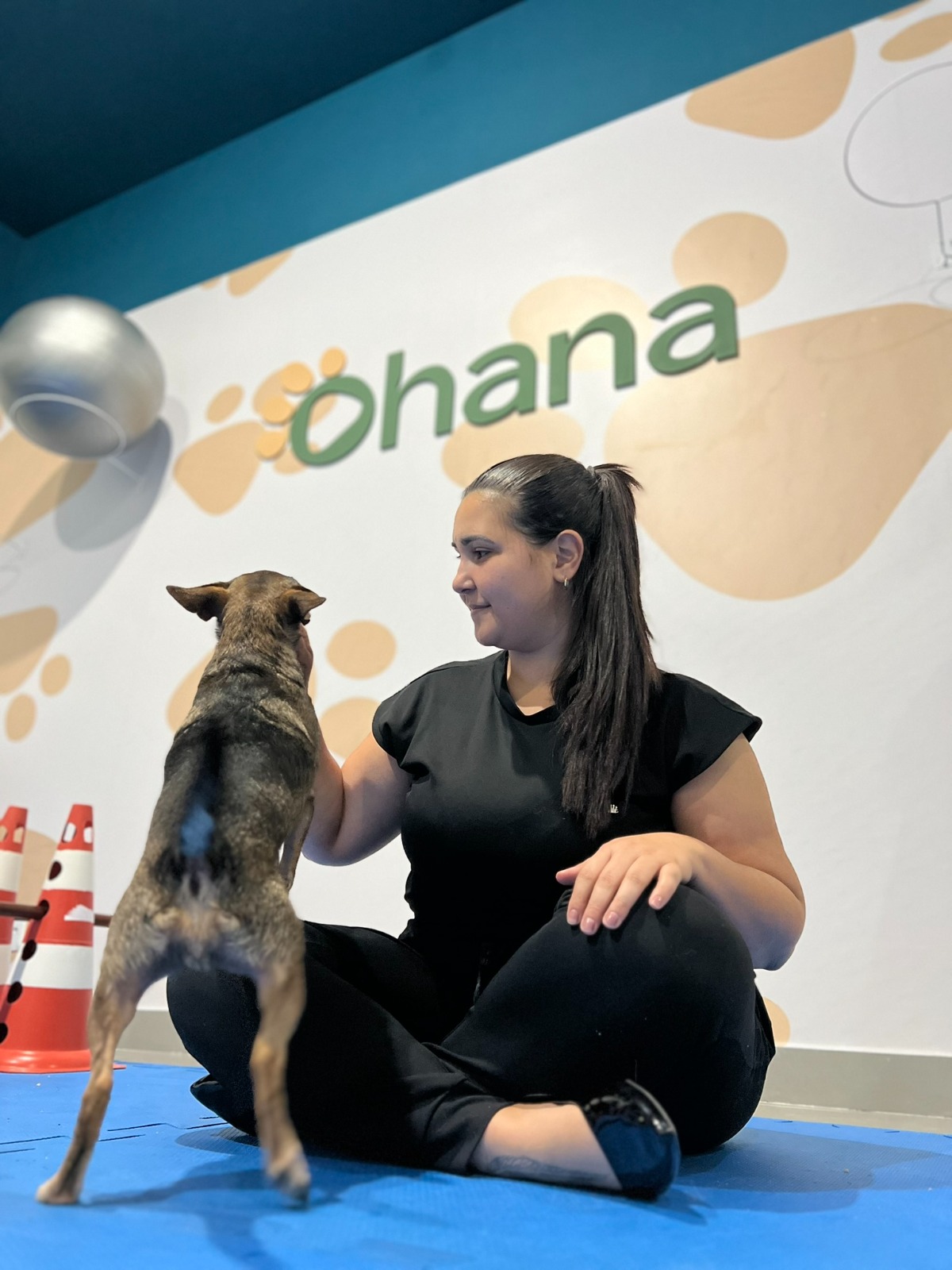 Estrutura Ohana