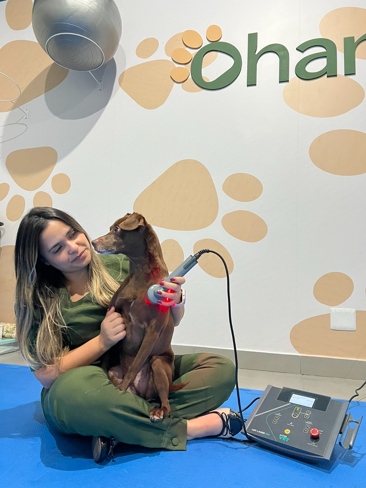 Estrutura Ohana